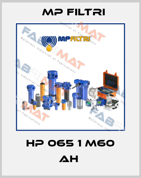 HP 065 1 M60 AH  MP Filtri