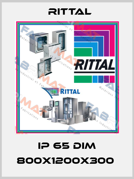 IP 65 DIM 800X1200X300  Rittal