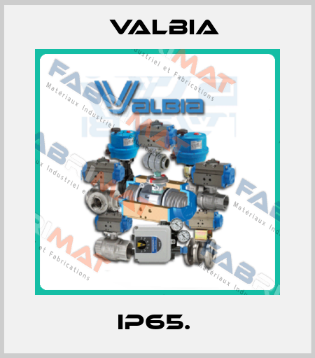 IP65.  Valbia