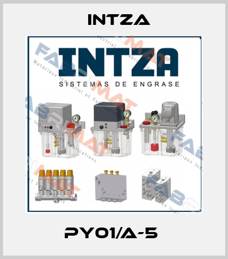 PY01/A-5  Intza