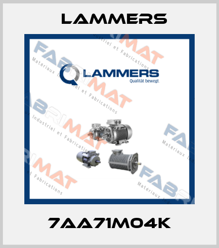 7AA71M04k Lammers