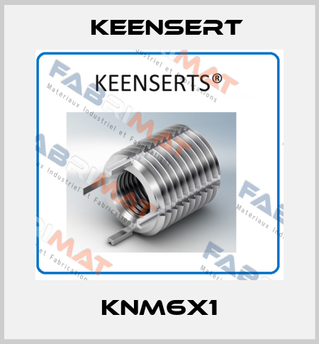 KNM6x1 Keensert