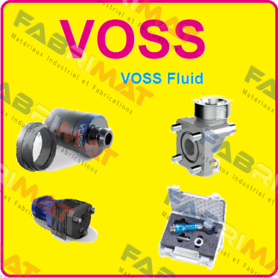 KR.B1290.131P0006  Voss