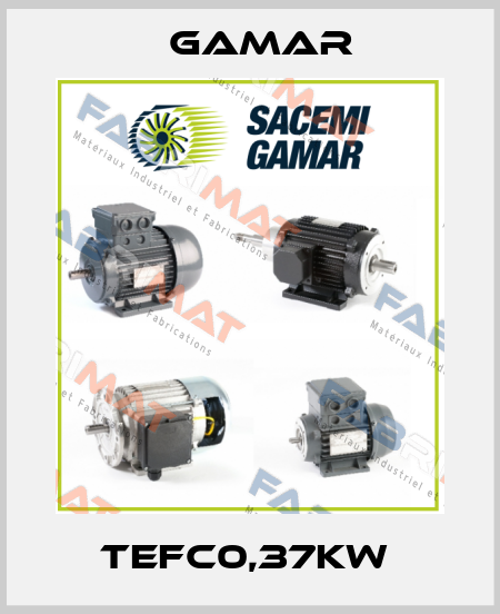 TEFC0,37kW  Gamar