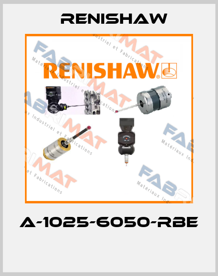 A-1025-6050-RBE  Renishaw