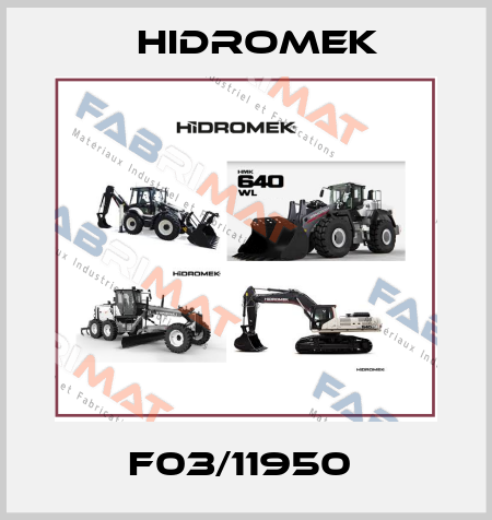 F03/11950  Hidromek