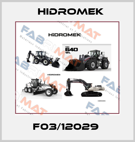 F03/12029  Hidromek