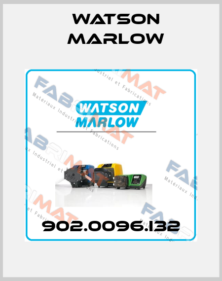 902.0096.I32 Watson Marlow