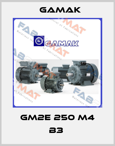 GM2E 250 M4 B3  Gamak