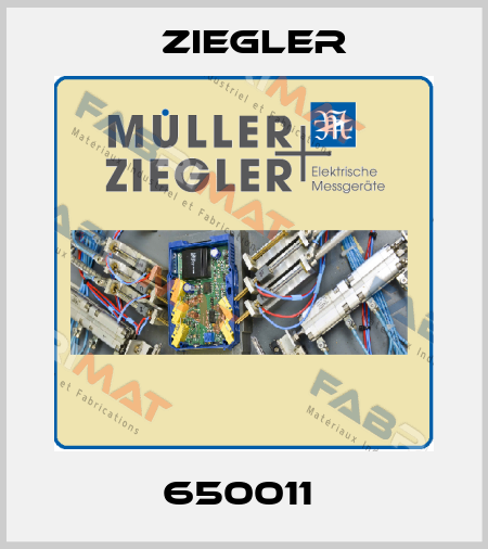 650011  Ziegler