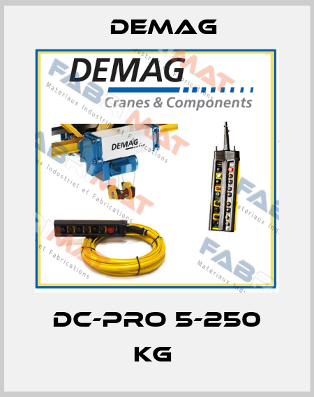 DC-Pro 5-250 kg  Demag