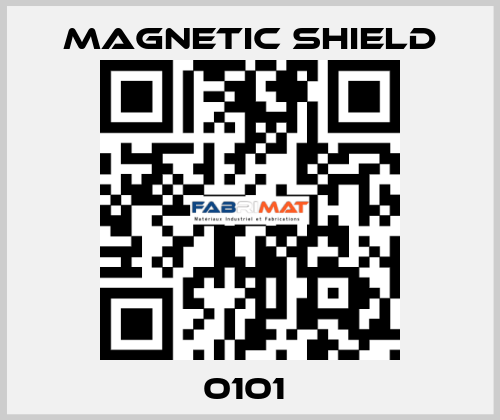 0101  Magnetic Shield