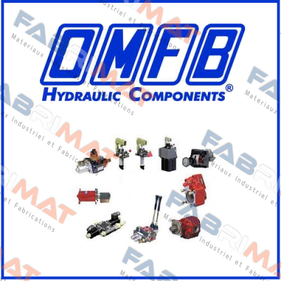 108-016-00807 OMFB Hydraulic