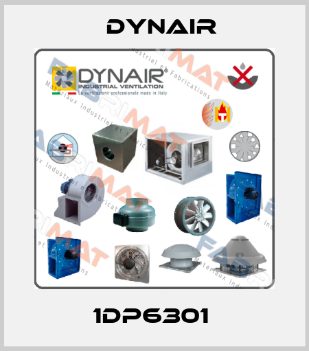 1DP6301  Dynair