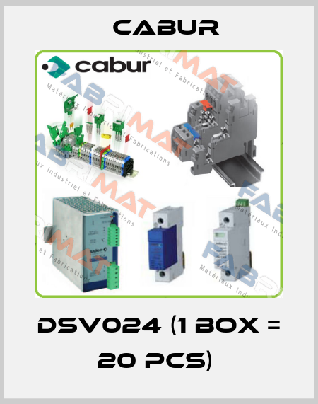 DSV024 (1 box = 20 pcs)  Cabur