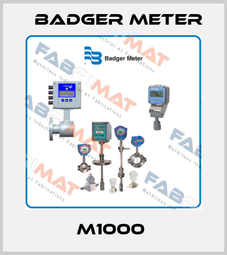 M1000  Badger Meter