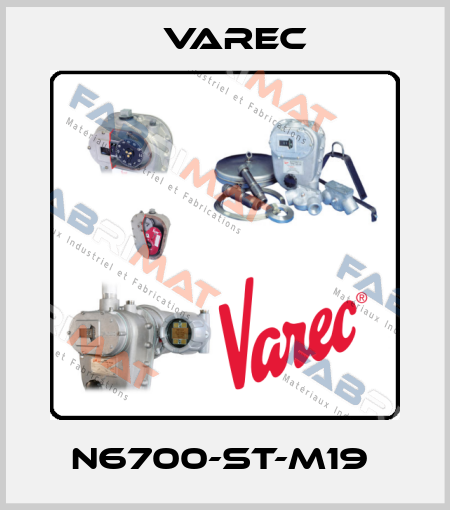 N6700-ST-M19  Varec