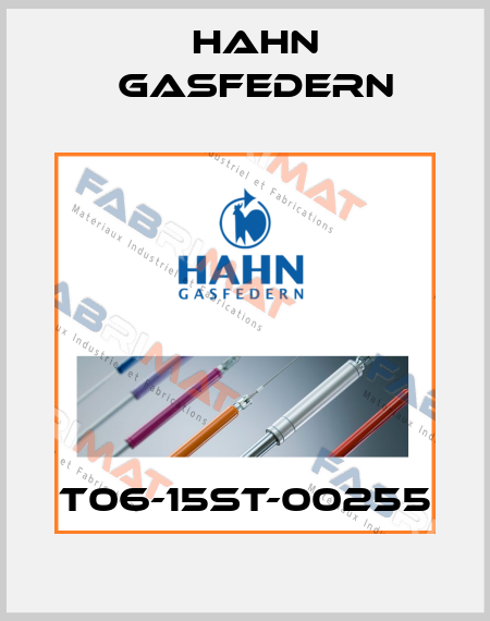 T06-15ST-00255 Hahn Gasfedern