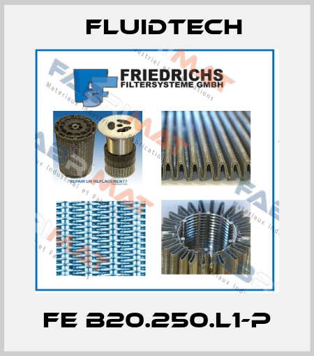 FE B20.250.L1-P Fluidtech