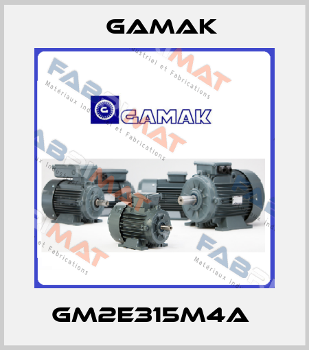 GM2E315M4a  Gamak