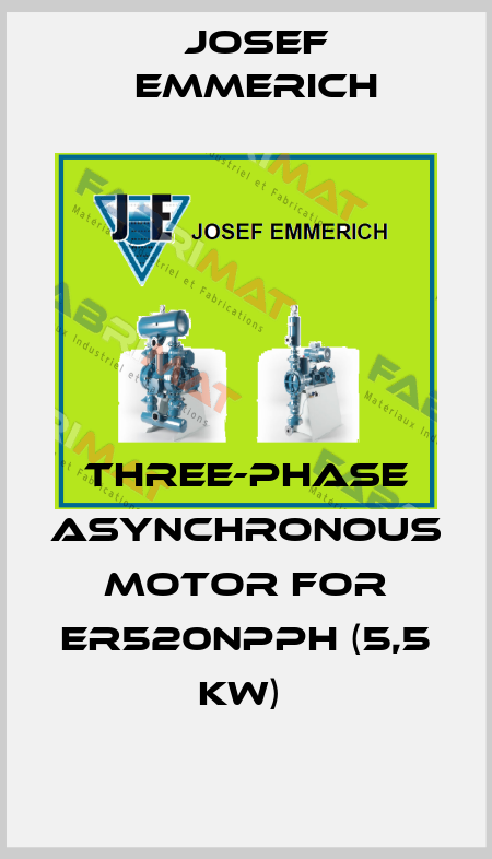 Three-phase asynchronous motor for ER520NPPH (5,5 kW)  Josef Emmerich