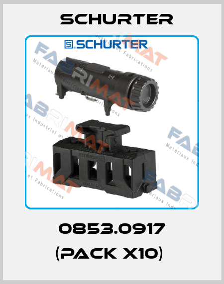 0853.0917 (pack x10)  Schurter