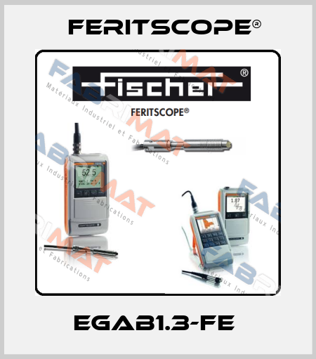 EGAB1.3-Fe  Feritscope®