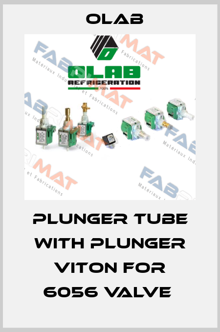 Plunger tube with plunger Viton for 6056 valve  Olab
