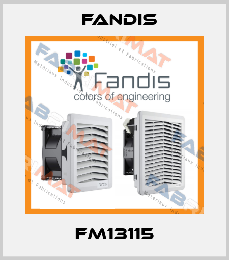 FM13115 Fandis