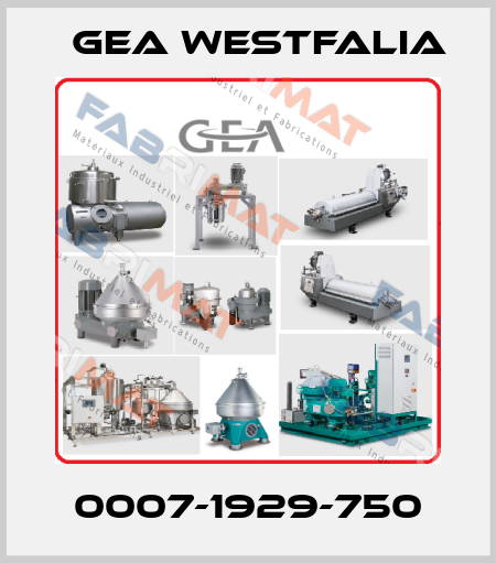 0007-1929-750 Gea Westfalia