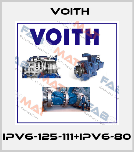 IPV6-125-111+IPV6-80 Voith
