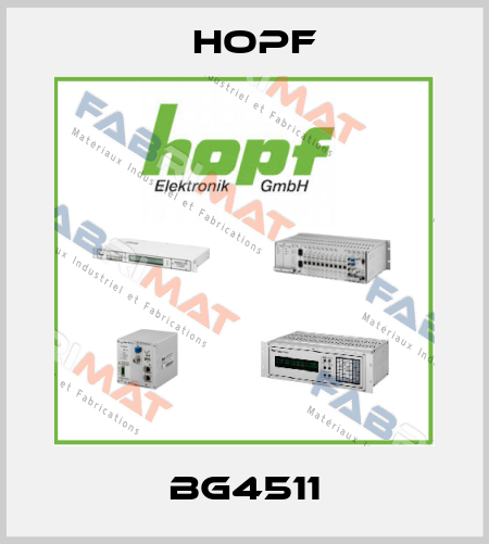 BG4511 Hopf
