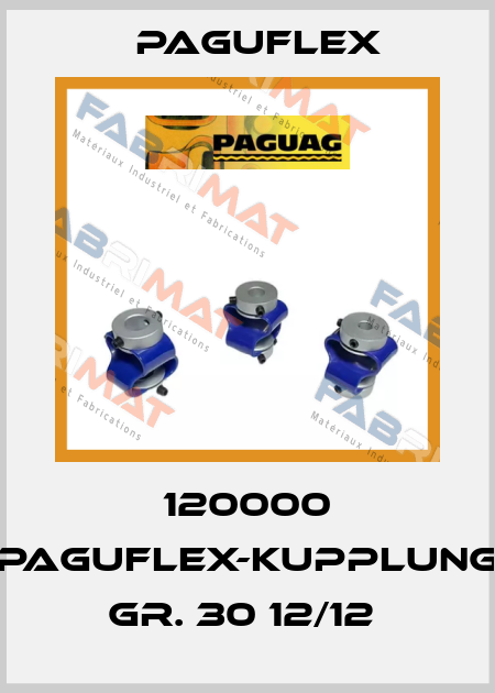 120000 PAGUFLEX-KUPPLUNG GR. 30 12/12  Paguflex