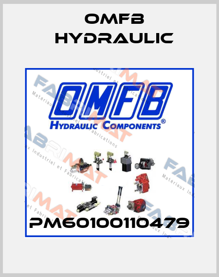 PM60100110479 OMFB Hydraulic