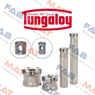 TPO18R125M38.1-09 (3029030) Tungaloy