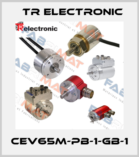 CEV65M-PB-1-GB-1 TR Electronic