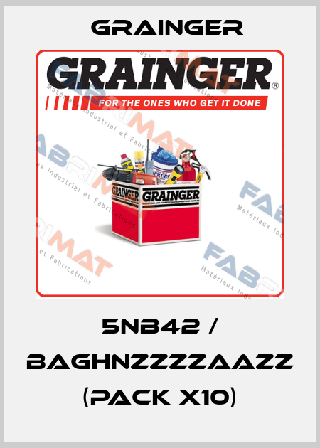 5NB42 / BAGHNZZZZAAZZ (pack x10) Grainger