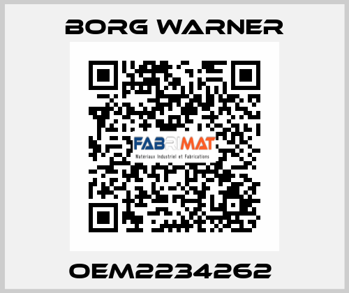 OEM2234262  Borg Warner