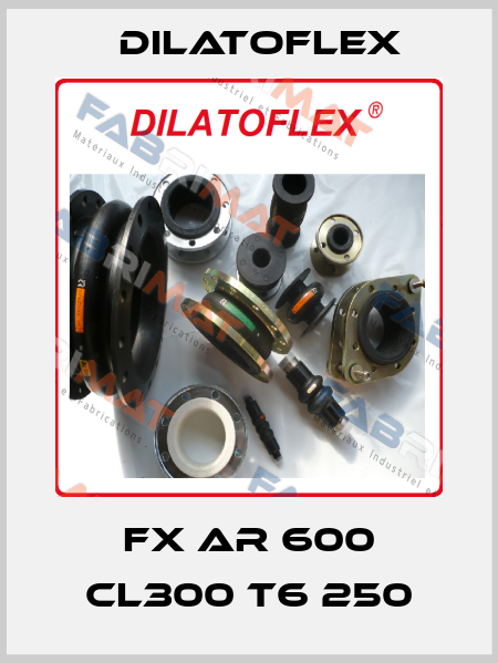 FX AR 600 CL300 T6 250 DILATOFLEX