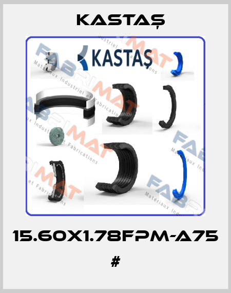 15.60X1.78FPM-A75 # Kastaş