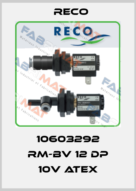 10603292 RM-BV 12 DP 10V ATEX Reco