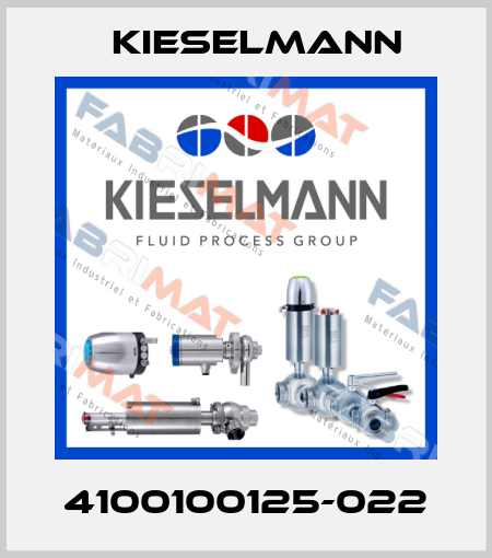 4100100125-022 Kieselmann