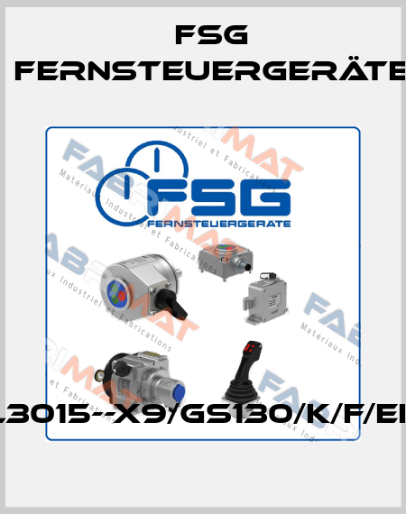 SL3015--X9/GS130/K/F/EEX FSG Fernsteuergeräte
