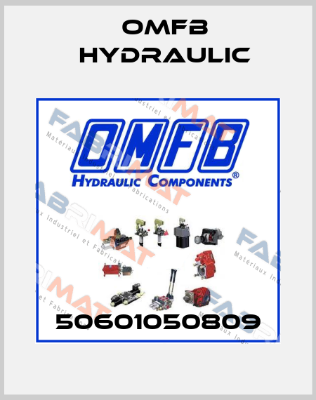 50601050809 OMFB Hydraulic