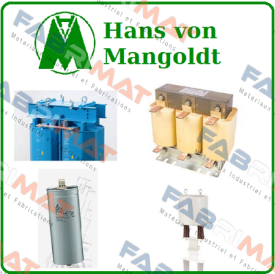 700802 Hans von Mangoldt