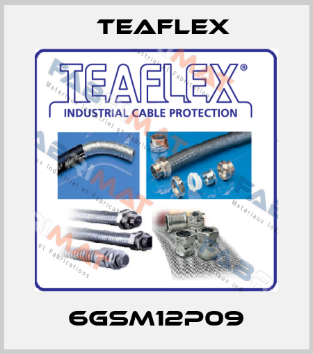 6GSM12P09 Teaflex