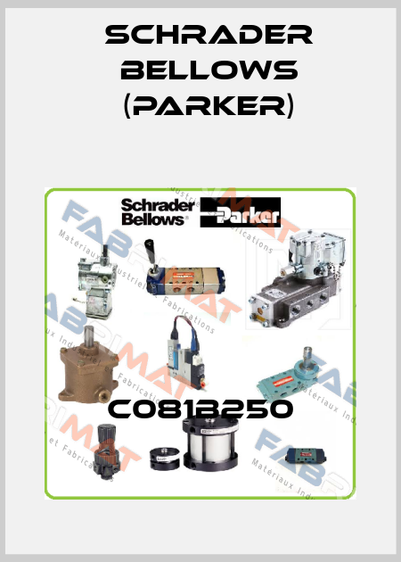 C081B250 Schrader Bellows (Parker)