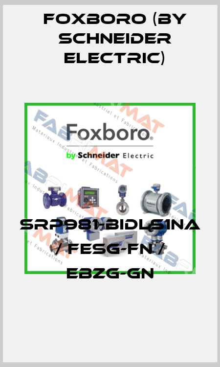 SRP981-BIDLS1NA / FESG-FN / EBZG-GN Foxboro (by Schneider Electric)