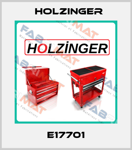 E17701 holzinger