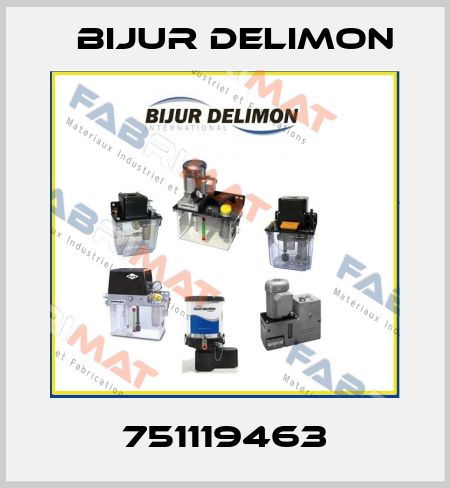 751119463 Bijur Delimon